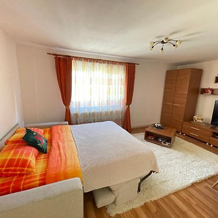 Apartment Cristian Timişoara Buitenkant foto